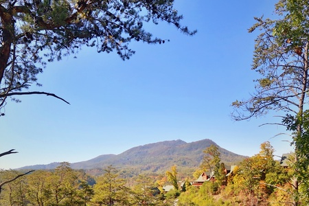 Eden Crest Ddc Management - Gradient Textures - Professional Mobile Collection