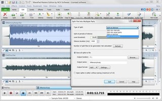 Wavepad 12 96 For Windows Download Edit MP3 Audio Recorders Play M4A Edit AAC.