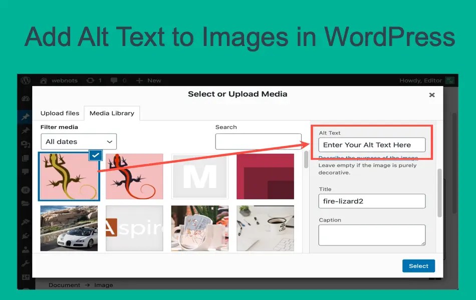 How to upload multiple photos on wordpress user profiles? How to Add Alt Text to Images in WordPress? » WebNots