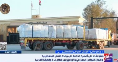 ماهر صافي: لجنة إدارة غزة تحظى بدعم مصري وشرعية فلسطينية كاملة