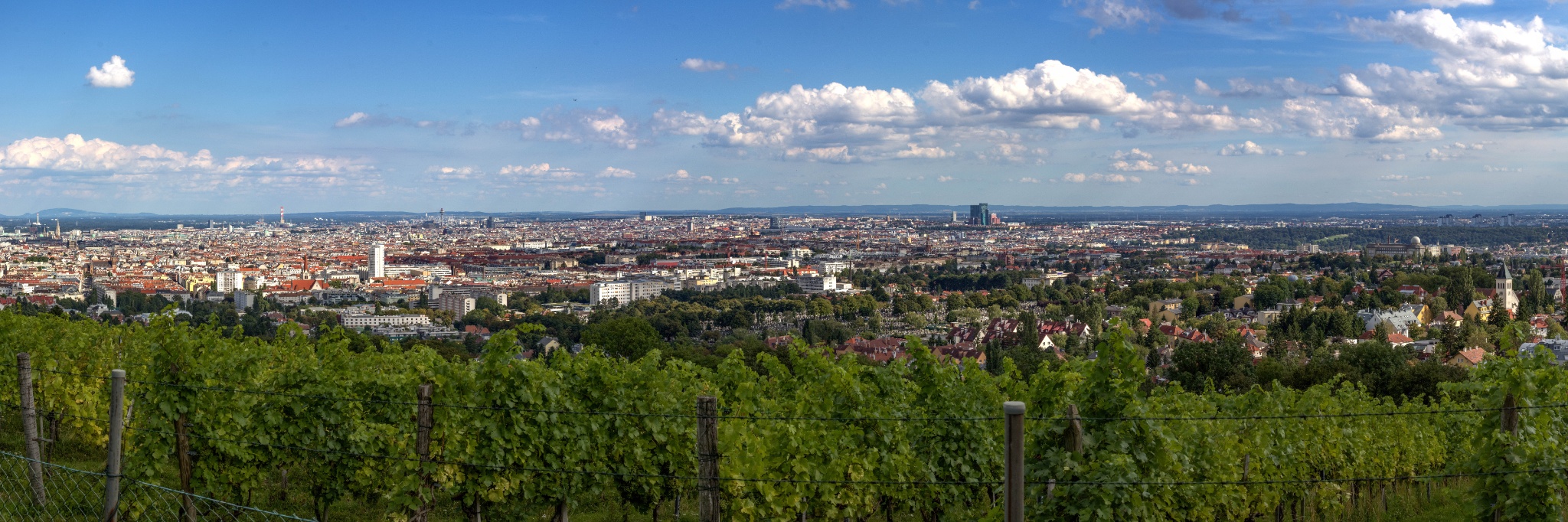 Trailrunning in wien: die schönsten laufstrecken und trails