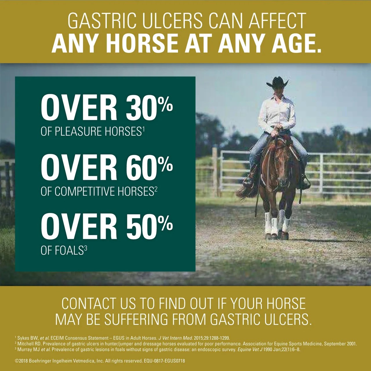 You can use our free chinese zodiac sign calculator tool to find your zodiac animal sign or see the table below. September Is Egus Awareness Month At Idaho Equine