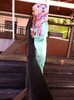Ekyn Collections Banyak Foto Video