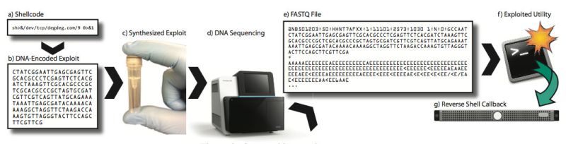 The Adaptation Process To A Malicious Code Injection Attack Download - High Resolution Space Illustrations for Desktop