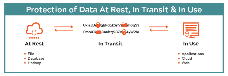 Protegrity Data Protection Platform Cloud Security Solutions - Premium Vintage Photo Gallery - 8K