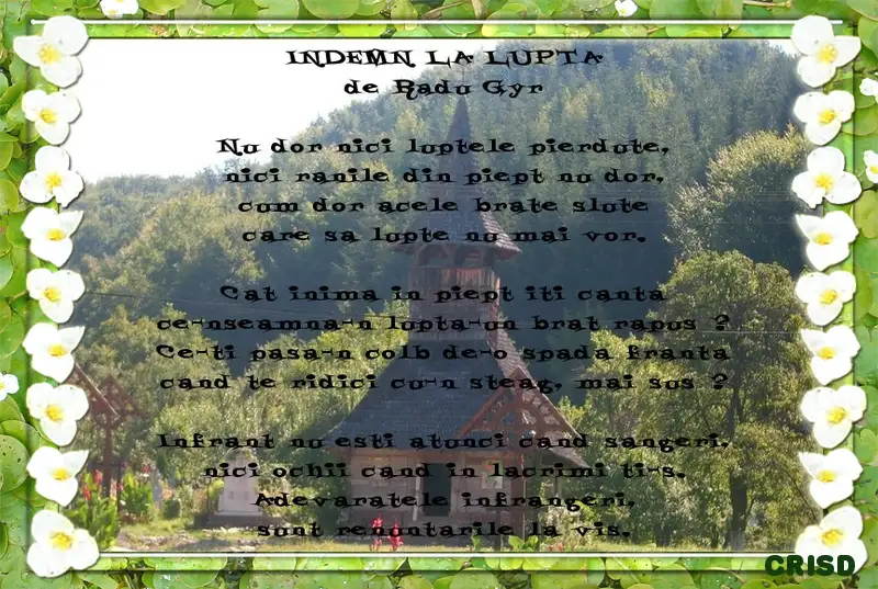 Comunitate Profil Sinziiana Caraza