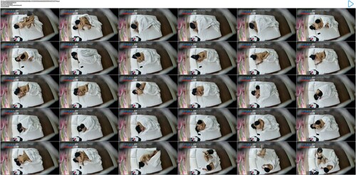 [MP4/7.6G]駭客盜錄S級嫩妹穿網襪情趣騎臉舔穴無套側入狂肏／眼鏡男與網紅臉女友開房撕裂黑絲後入頂撞翹臀等 26V - 截图45