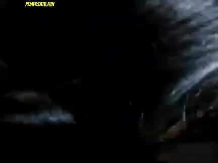 Tocil Sexy Mulus 18Yo Colmek Sedap Ngentot Part (14) Video Pemersatu Bangsa