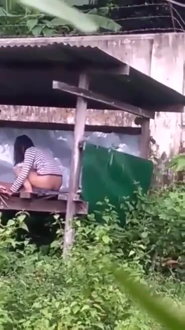 Viral Ngewe Di Hutan Video Pemersatu Bangsa