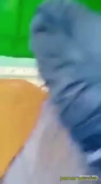 Biadab Ngewe Di Tempat Ibadah