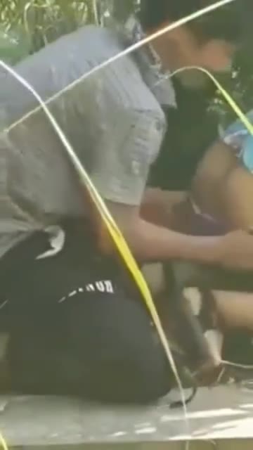 ngintip orang pacaran di semak-semak