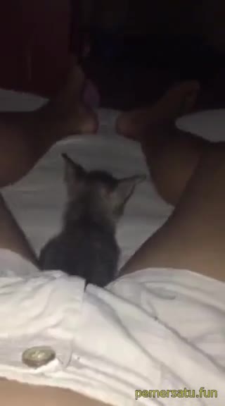 Reca Abg 18Yo Binal Sange (19) Video Pemersatu Bangsa