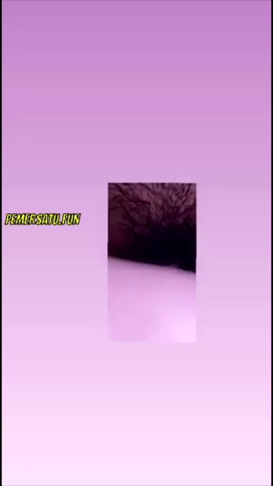 skandal koleksi clarizza Video Pemersatu Bangsa