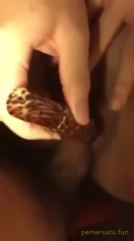 Memek Mulus Desah Video Pemersatu Bangsa