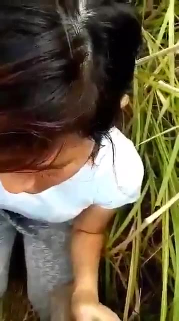 Emut kontol petani jagung Video Pemersatu Bangsa