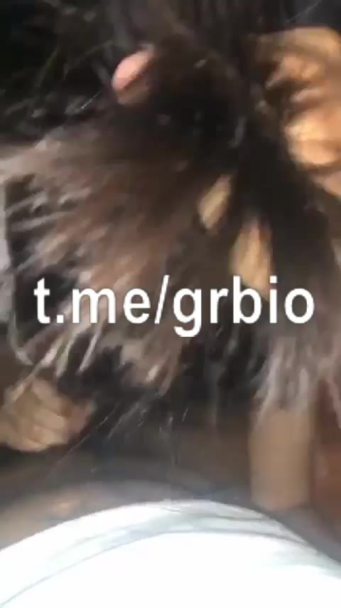 Sania Guru Biologi Viral Terabox Full Album Streaming