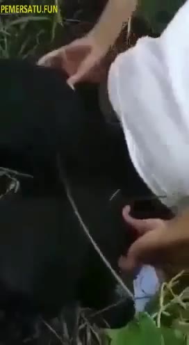 udah bisa gangbang