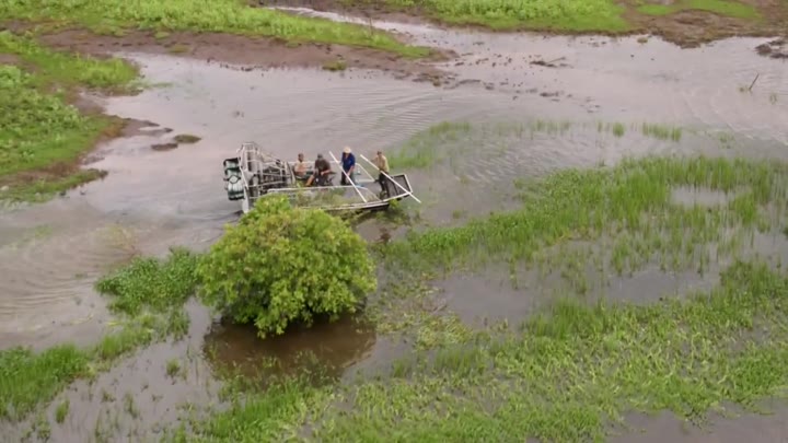 Wild Croc Territory S01E04 Jangan Menahan-nahan Video Pemersatu Bangsa