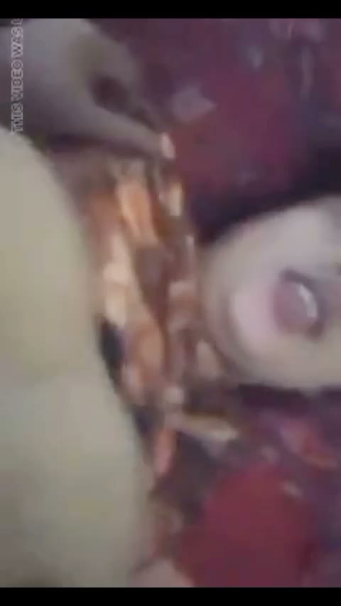 Ngentot Stw Petil Item Streaming Bokep31 Bokep Dood