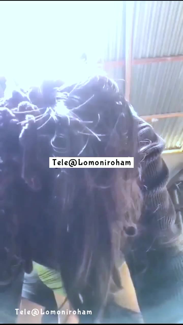 Lagi Viral Abg Genjot Adik Tiri Video Pemersatu Bangsa