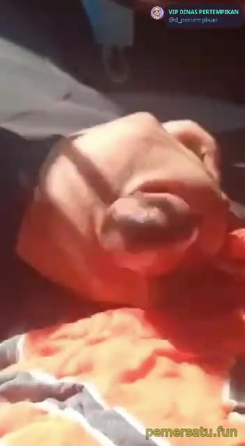 P90 Hijab Tobrut Sange Omek Sepong Ngewe 90
