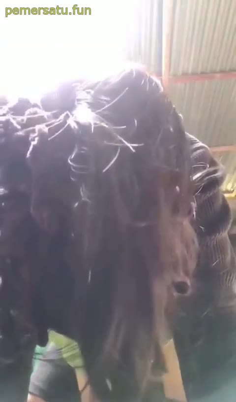 Entot Memek Adik Sepupu Dari Belakang Di Dapur Video Pemersatu Bangsa