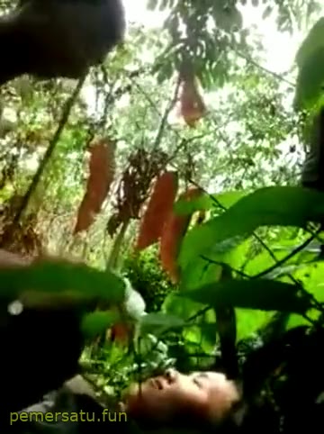 Main Dihutan Lagi Bebas Ngewe (4) Video Pemersatu Bangsa