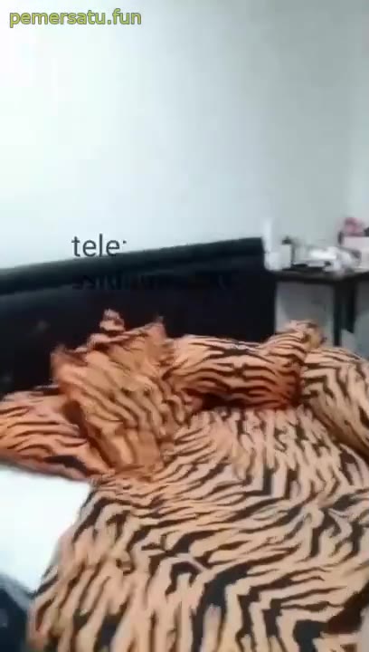 Miss Ar Video Pemersatu Bangsa