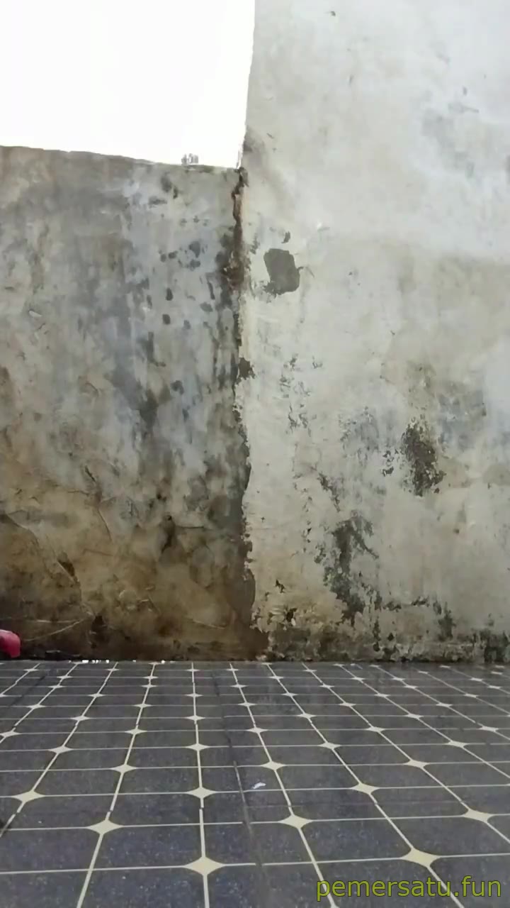 Dinda Putri Jilbab Abg 18Yo Gairah Remaja (1) Video Pemersatu Bangsa
