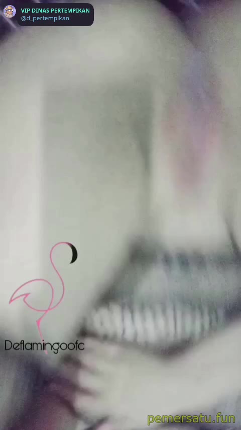 P5 Jilbab Hitam Gemoy Toket Brutal 5