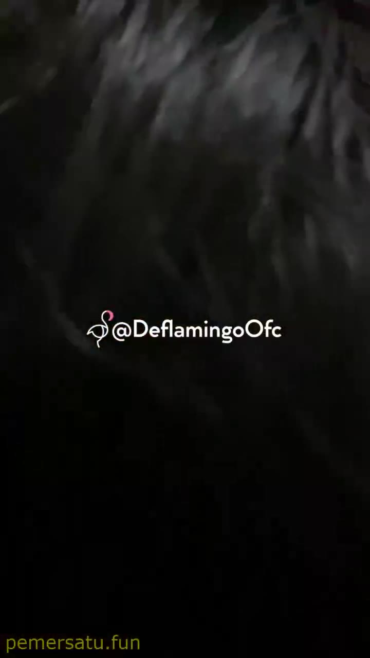 Mettaharam Abg 18Yo (52) Video Pemersatu Bangsa