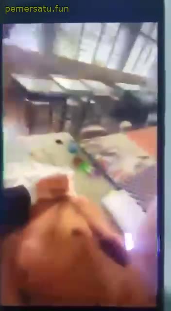 Melaka Abg 18Yo Viral Digilir Di Kelas Karena Ketahuan Colmek (2) Video Pemersatu Bangsa