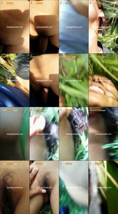 Ngewe Di Kebun Jagung Warga