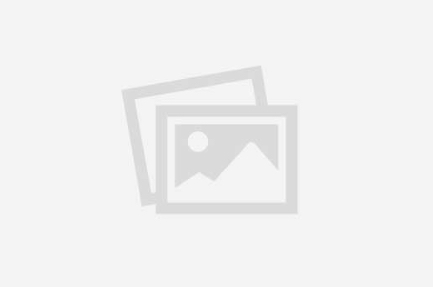 Sofi Goldfinger IV121 SD.