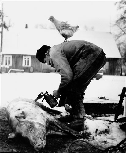Slaughter-1982-by-Rimalda-007