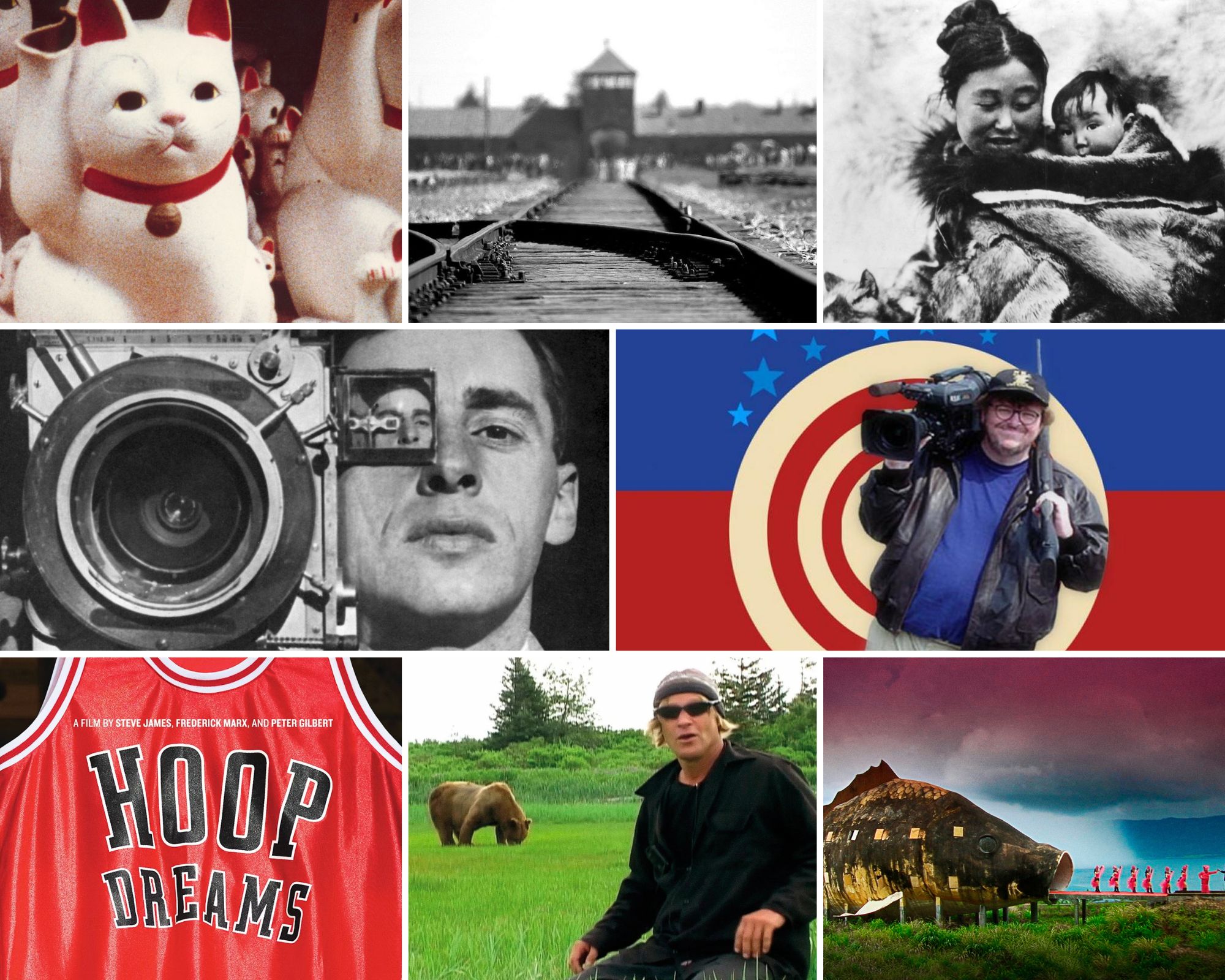 Los 10 mejores documentales de todos los tiempos