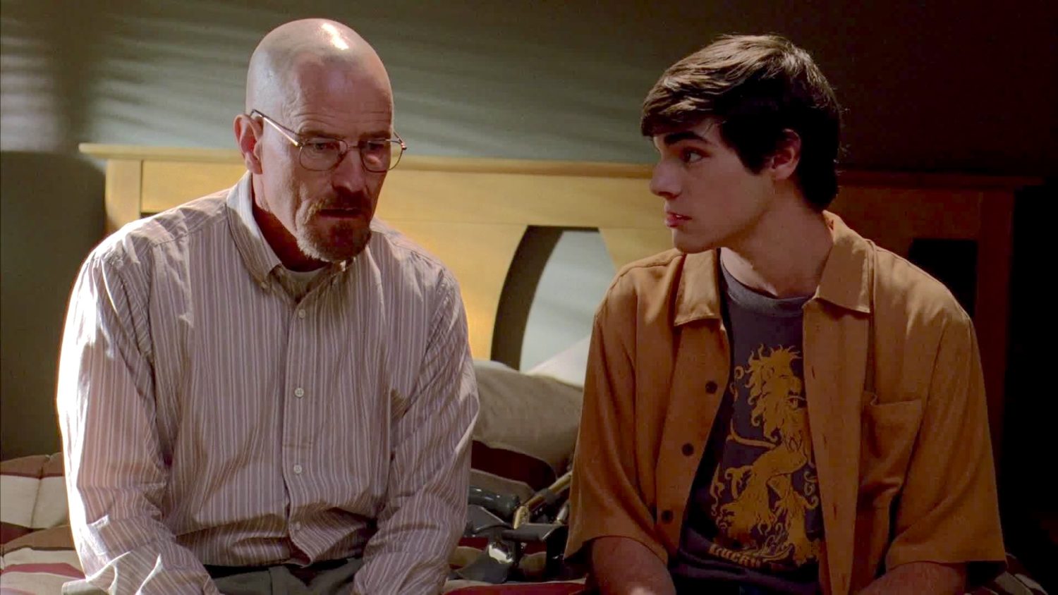 Breaking Bad RJ Mitte