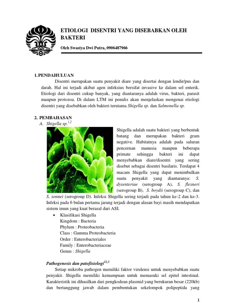 LTM 4 Etiologi Disentri | PDF