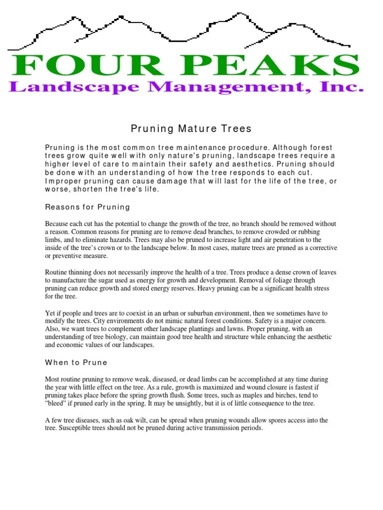 Pruning Mature Trees | PDF | Pruning | Trees