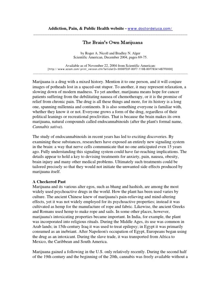 The Brain's Own Marijuana: Addiction, Pain, & Public Health Website ...