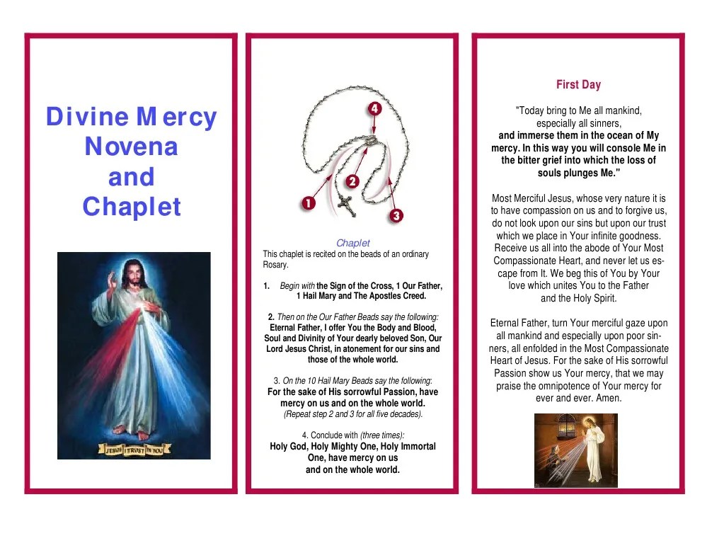 Divine Mercy Novena And Chaplet: First Day | Download Free PDF | Mercy ...