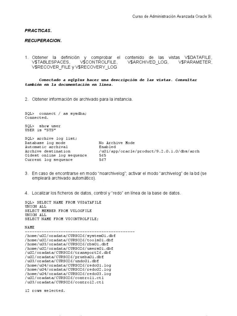 Practicas Recuperacion Resueltas | PDF | Apoyo | Oracle Corporation