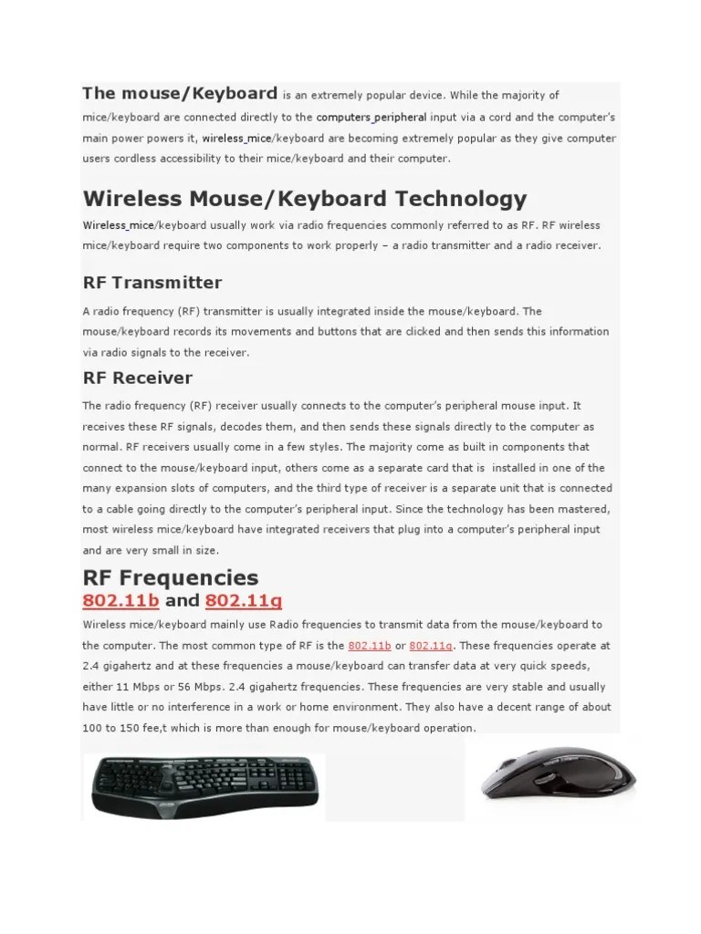 The Mouse | PDF | Wireless | Computer Keyboard