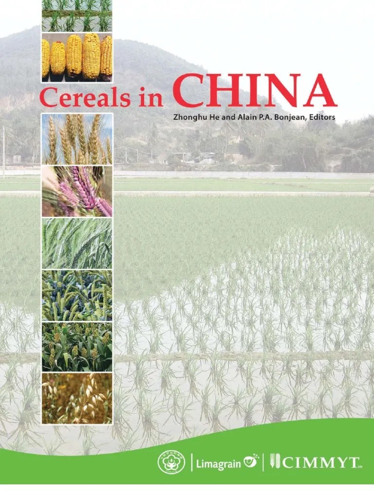 Cereals In China | PDF | Cereals | Rice
