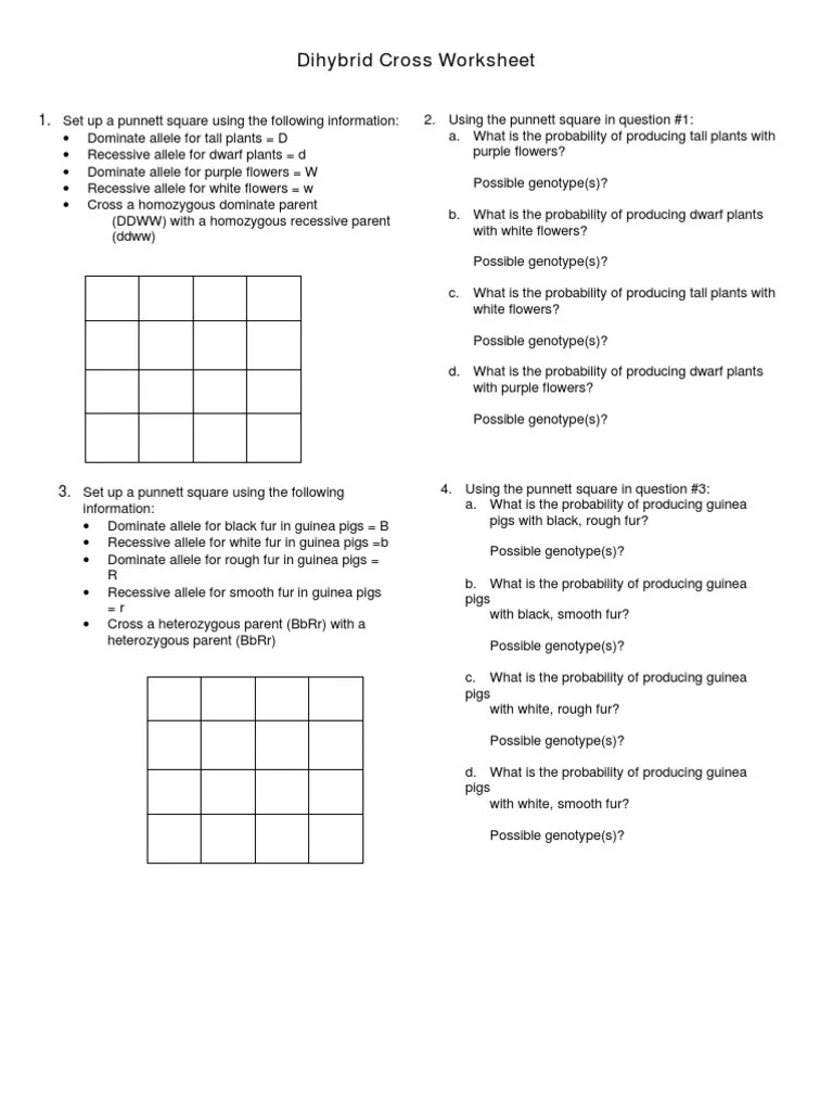 Punnett, who devised the approach. Dihybrid Cross Practice | Zygosity | Genotype