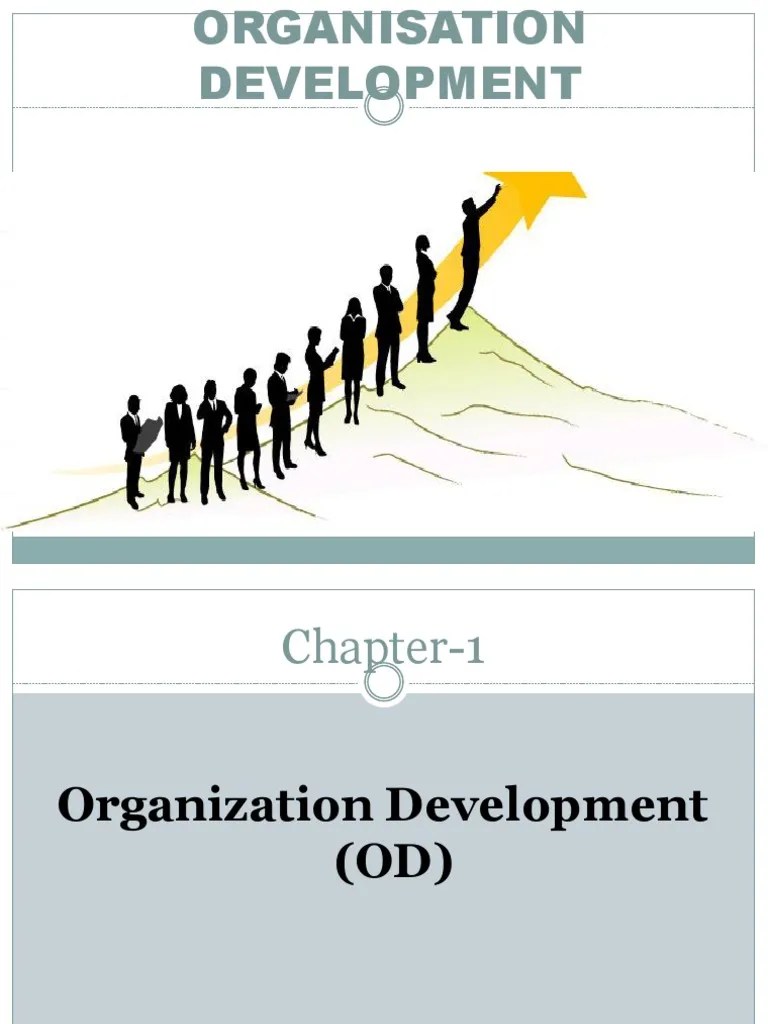 Organization Development | PDF | Organization Development | Cognitive ...