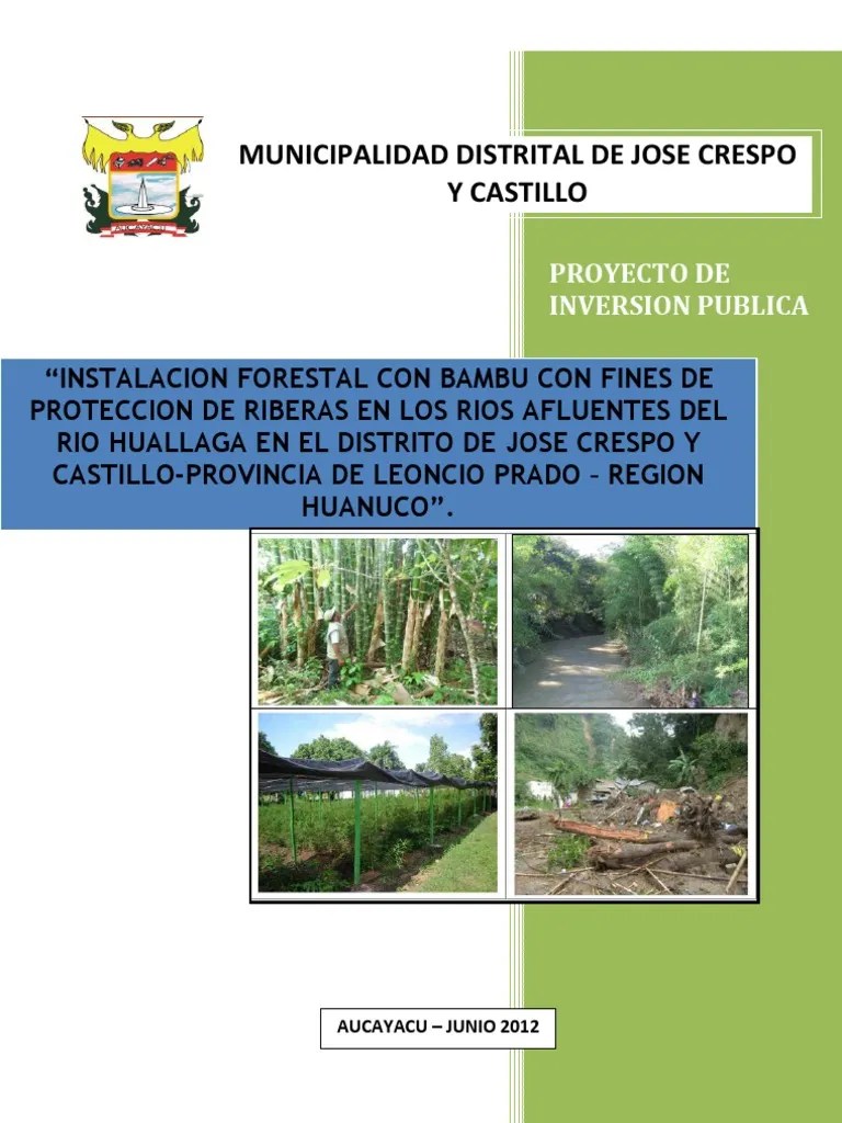 Estudio Forestal | PDF | Los Bosques | Biomasa