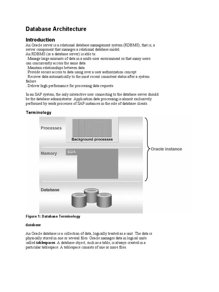 Database Architecture | PDF | Oracle Database | Cache (Computing)