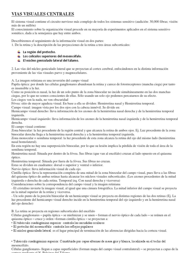 Vias Visuales Centrales | PDF | Percepción Visual | Corteza Visual