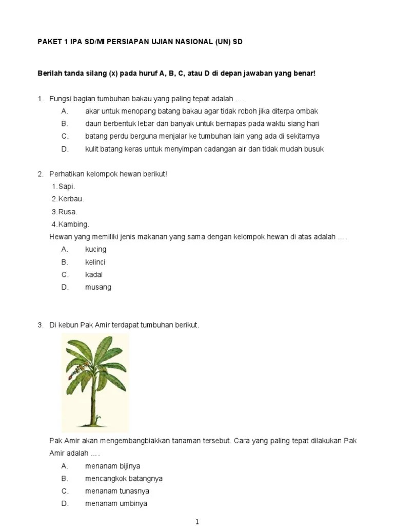 Kumpulan Soal Dan Ringkasan Materi Ipa Sd Kelas 6 Persiapan Un Sd Kaffah College Latihan Soal Online adalah website yang berisi tentang latihan soal mulai dari soal SD MI Sederajat SMP MTs sederajat SMA.